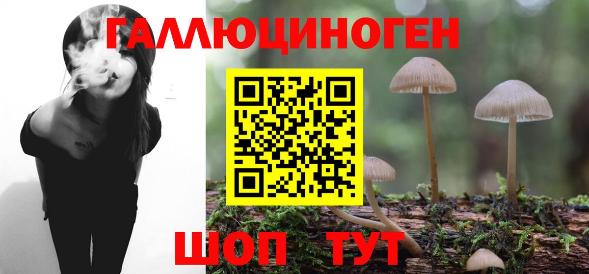 Псилоцибиновые грибы мицелий Зеленодольск